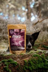 
                                    Marp Holistic Fish Mix - pamlsky pro psy 500g
                                