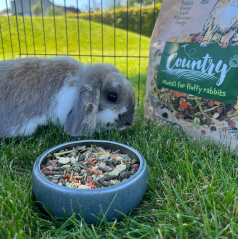 Witte Molen Country Rabbit - králík 2,5 kg