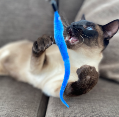 DUVO hračka Cat Udice plyšový ocas 45,5cm.