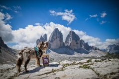 Marp Holistic White Mix - pamlsky pro psy 500g
Marp Holistic White Mix - pamlsky pro psy 500g