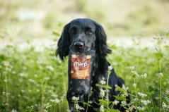 Marp vývar jehněčí 230ml