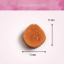ANTOS Cat Snack s krevetou 50g