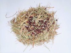 Seno – základní složka jídelníčku pro hlodavce, králíky a další býložravce