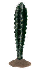 Tera Sloupovitý cactus 23cm