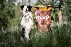 Marp Holistic Lamb - jehněčí bez obilovin 12kg
Marp Holistic Lamb - jehněčí bez obilovin 12kg