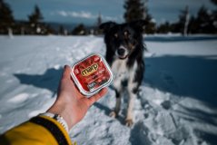 
                                    Marp Angus Beef vanička pro psy s hovězím 100g
                                