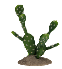 Tera Opuncie cactus 16cm