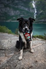 Marp vývar z divokého losa 230ml