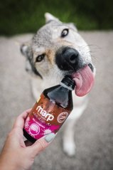 Marp Holistic - Ostropestřcový olej 250ml