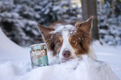 
                                    Marp Variety Single králík konzerva pro psy 400g
                                