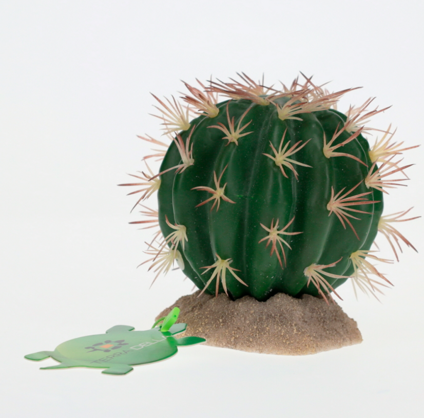 Tera Echinocactus M