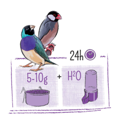 PUUR Tropical birds - drobný exot 750 g
