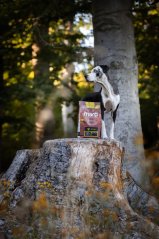 Marp Holistic Chicken - kuřecí bez obilovin 2kg