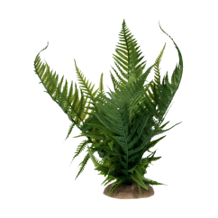 DUVO tera Kapradina L 34cm