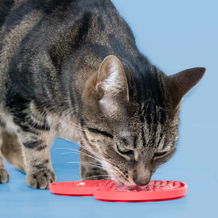 DUVO Lízací podložka červené srdce 17x14cm