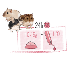 PUUR dwarf hamster&friends - křečík, pískomil, myš 400 g