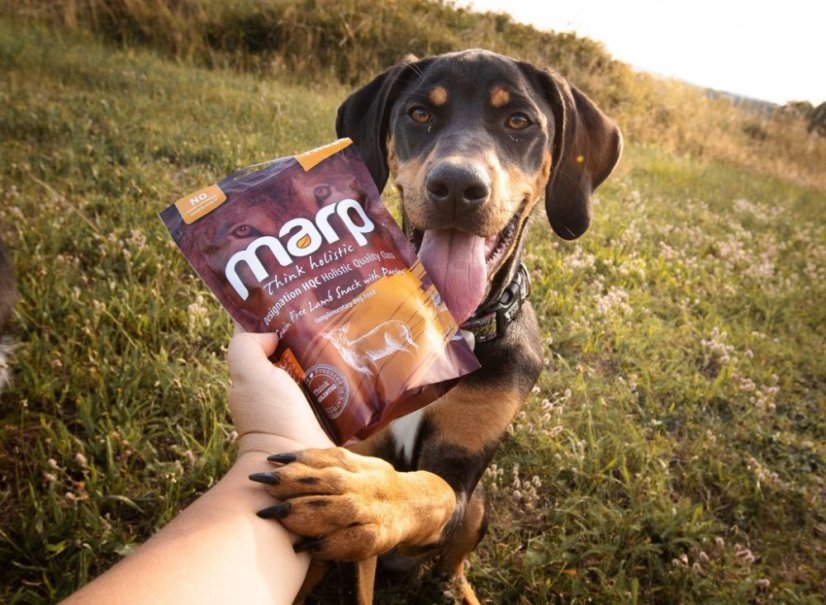 
                                    Marp Holistic – Jehněčí pamlsky s petrželí bez obilovin 150g
                                