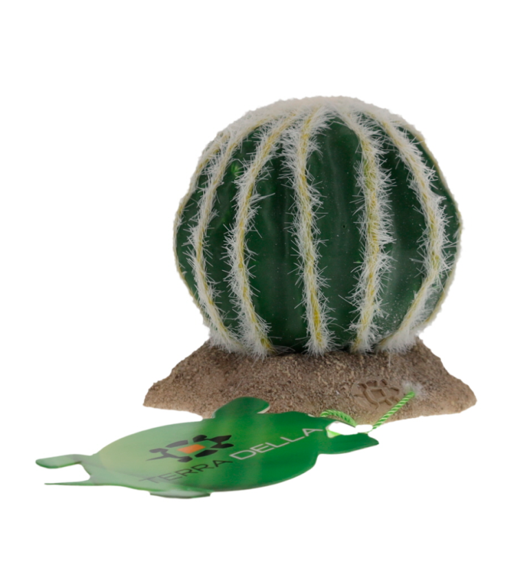 Tera Echinocactus M