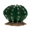 DUVO Tera Echinocactus 16,5x15,5x13cm